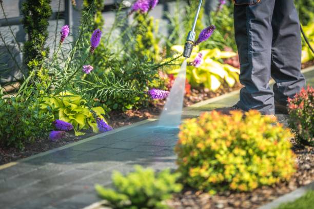 Best Commercial Pressure Washing in Beaver Dam, AZ